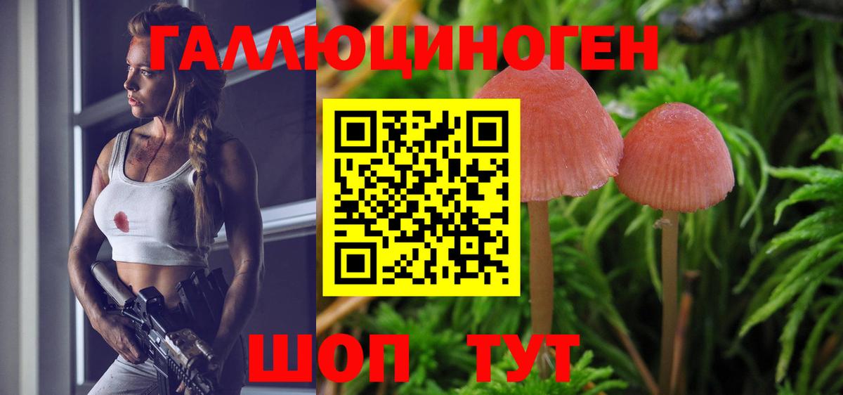 Галлюциногенные грибы мухоморы  Псилоцибиновые грибы Cubensis  продажа наркотиков  Вход с VPN  Нефтекумск 