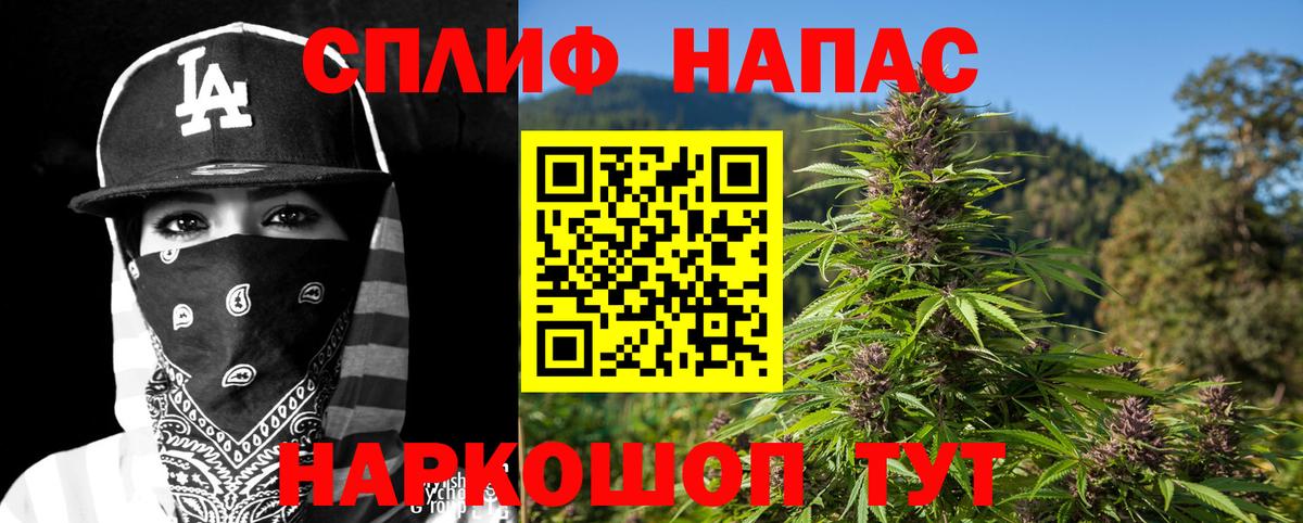 Бошки марихуана ГИДРОПОН  Бошки Шишки ГИДРОПОН  Марихуана марихуана  Вход с VPN  Каннабис тримм  Нефтекумск 