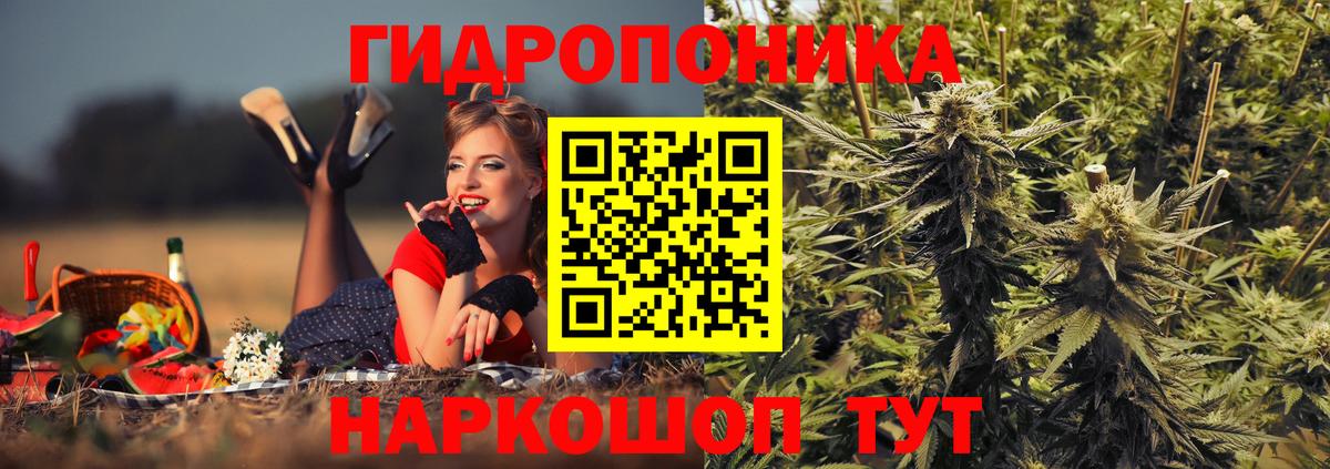 Шишки марихуана планчик Нефтекумск